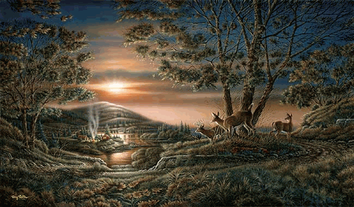(image for) Sharing the Sunset